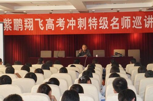 天津市紫鹏翔飞教育信息咨询服务介绍